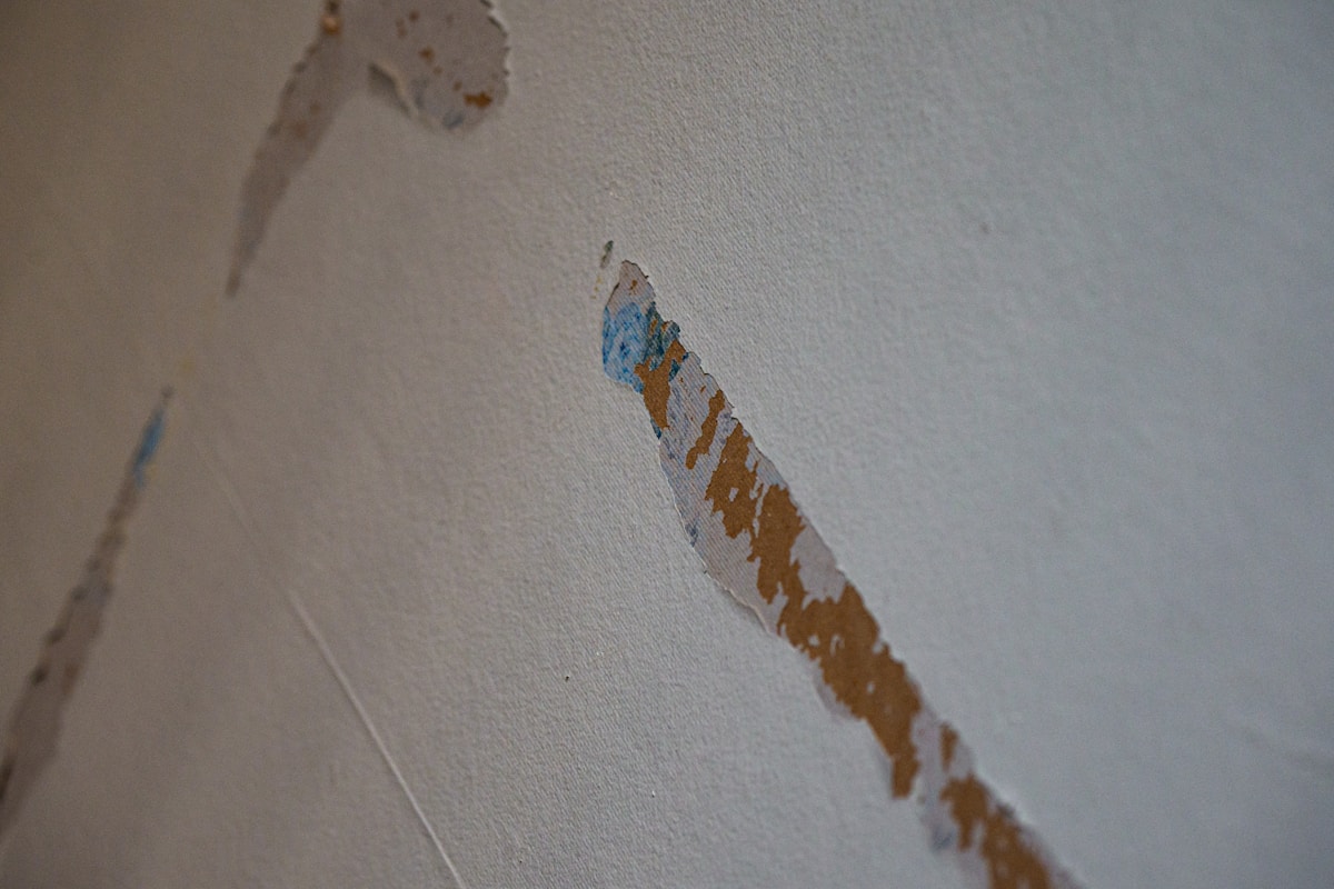 Water Extraction service in Baytown, TX